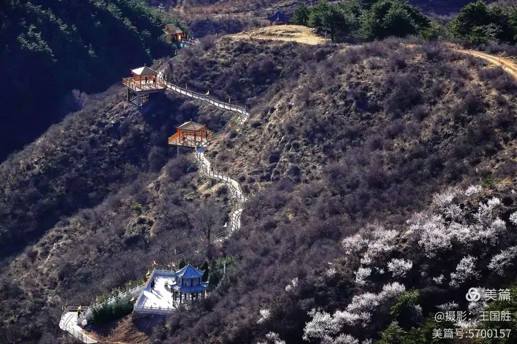 琴山赏春——三月踏青何处佳?琴山顶上看桃花。